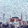 NURDANE AKYEL profil fotoğrafı