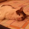 takajin profil fotoğrafı