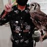 大納言🦉 profil fotoğrafı