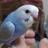 Фото профиля じゃっかる