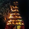 IndiGenBharat's profile picture