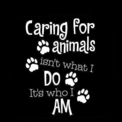 CynPatriotic's profile picture