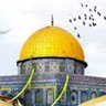 Profilbild von أحب وطني