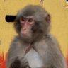 twitororo's profile picture