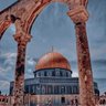 🇵🇸 #FreePalestine's profile picture