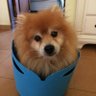 Nickponze's profile picture