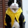 Profilbild von Muhittin