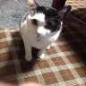 kyouあがさ profil fotoğrafı