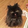 Карман Пистонов's profile picture