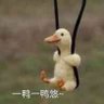 狐言's profile picture