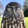 maie profil fotoğrafı