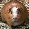 Profilbild von RY