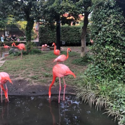 雄鹰🦅's profile picture