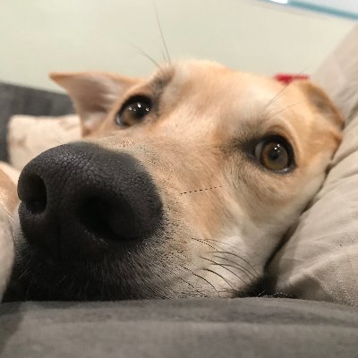 MD41687242's profile picture