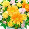 Фото профиля はな