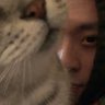 Huangrf profil fotoğrafı
