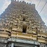 manikandan's profile picture