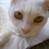 ã¡ã³777's profile picture