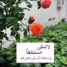 Abeer Tantawy 的头像