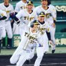 むぎちゃ profil fotoğrafı