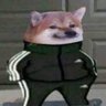 Dog's profile picture