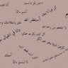 شغف 的头像