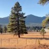 Western Mogollon Rim Weather's profile picture