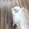 Mehboy 的头像