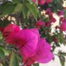 رولا الهنـــدي 💟💫 的头像