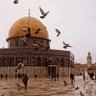 عبدالله 的头像