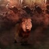 Galatasaray 🦁's profile picture