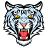 tiger last's profile picture
