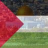 الصقر المهاجر's profile picture