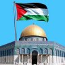 Profilbild von تفاؤل وأمل
