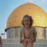 Profilbild von مصطفى محي الدين