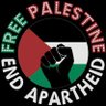 NSteam 🇵🇸 profil fotoğrafı