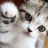 ☆ようすけ☆💫 profil fotoğrafı