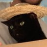 Boo's profile picture