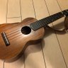 inoshishikko 的头像