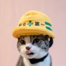 hiro profil fotoğrafı