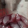 Фото профиля El Tipo