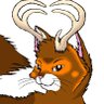 Profilbild von Ruddy Kitty | They/Them | BLM forever
