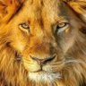 Profilbild von jiten