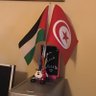 Yasminefell🇹🇳✌️🇵🇸 的头像
