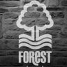 nffc1969 的头像