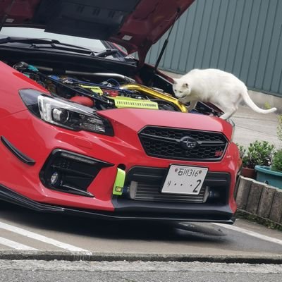 こーや's profile picture