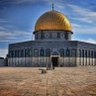 Фото профиля Hamed