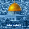MohHousain's profile picture