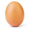 Wevo's profile picture