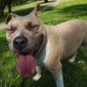 M.a.x.'s profile picture